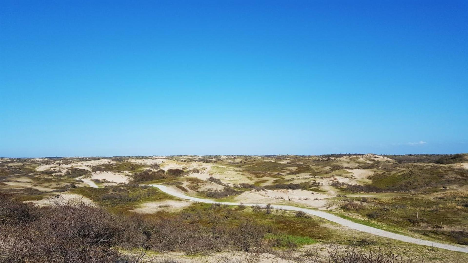 Bamboe Suite Bentveld Met Ligbad En Gratis Parkeren Exterior photo